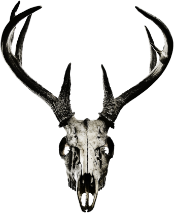 Sleeveless - deer skull vol. 4