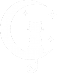 SKULLxFIRE Moon Cat Hoodie
