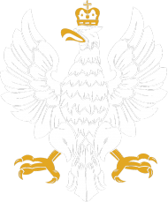 Bluza - Orzeł