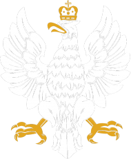 Bluza - Orzeł