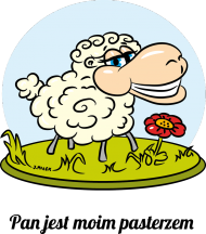 Pan jest moim Pasterzem - #BoskieKoszulki