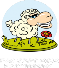 Pan jest moim Pasterzem - #BoskieKoszulki