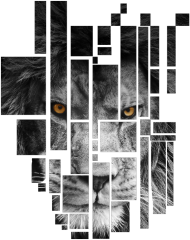 Pixel lion - damski t-shirt luźny