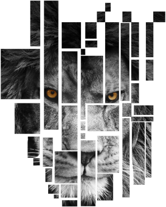 Pixel lion- męski bezrękawnik