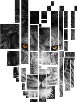 Pixel lion  - bluza damska