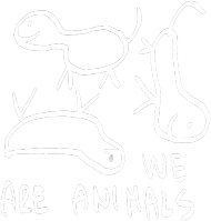 We Are Animals