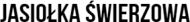 LKS Baseballówka