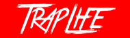 Traplife Logo GREY HOOD