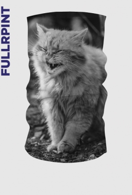 Strong cat - Monochromatic Cat