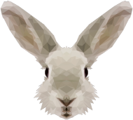 QTshop - KRÓLIK rabbit męska wszystkie kolory