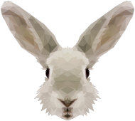 QTshop - KRÓLIK rabbit damska wszystkie kolory