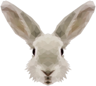 QTshop - KRÓLIK rabbit kubek jednostronny