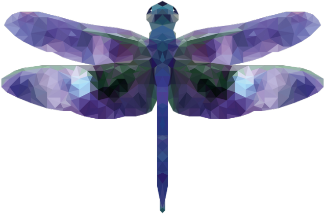 QTshop - WAŻKA dragonfly męska wszystkie kolory