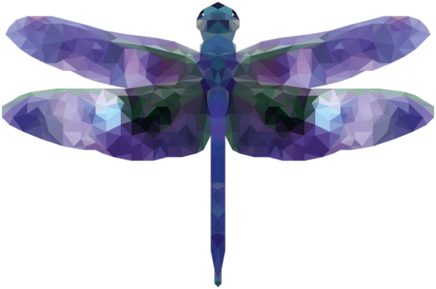 QTshop - WAŻKA dragonfly damska wszystkie kolory