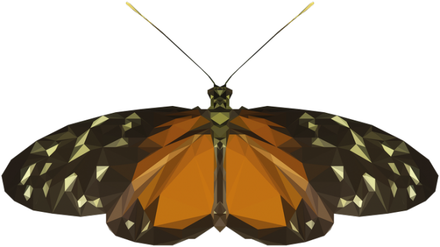 QTshop - MOTYL butterfly męska dwukolorowa wszystkie kolory