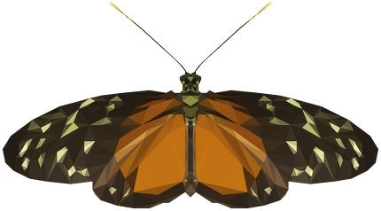 QTshop - MOTYL butterfly kubek jednostronny