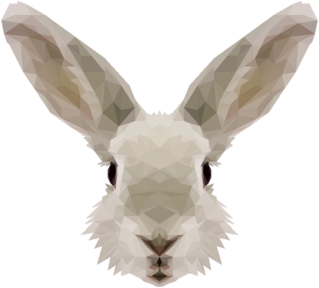 QTshop - KRÓLIK rabbit polo męska wszystkie kolory