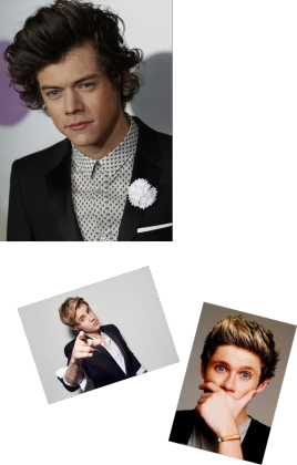 Niall Harry Justin