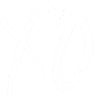 KOSZULKA XO BLACK