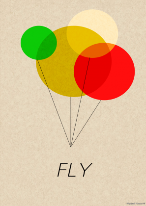 FLY