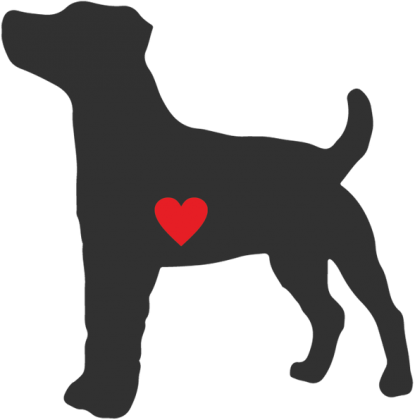 Męska bluza - Russell Terrier - ciemny
