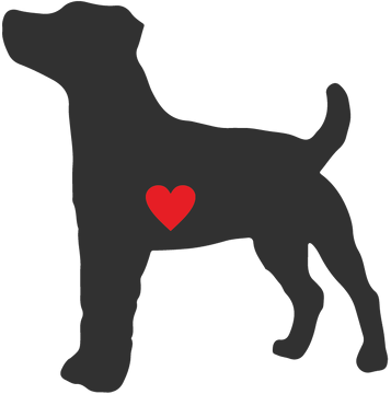 Kubek - Russell Terrier