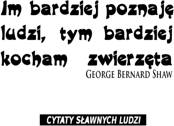kocham zwierzęta