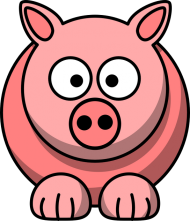 Różowa świnka