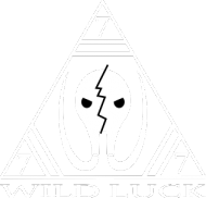 Bluza męska WILD LUCK
