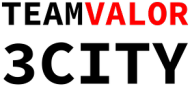 Team Valor 3city - czapka