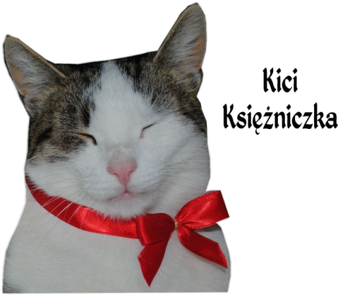 Koszulka Kici Księżniczka/T-shirt Kitty Princess