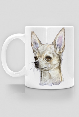 Chihuahua - Psina