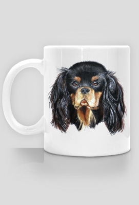 king charles cavalier - Psina
