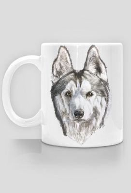 Syberian Husky - Psina