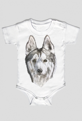 Syberian Husky - Psina