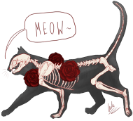 Męska Cat Skeleton Biel