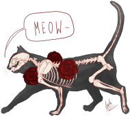 Damska Cat Skeleton Szara