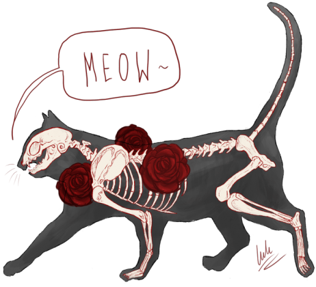 Męska Cat Skeleton Szara