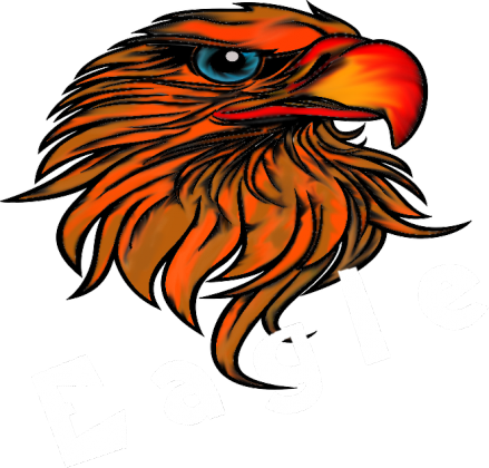 Eagle T-shirt