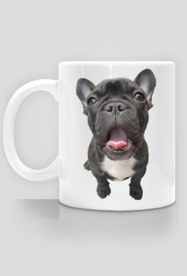 Buldog Francuski v1 - molosgift