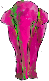 pink elephant - koniecznie odwróć!