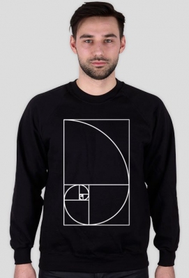 Fibonacci bluza męska ciąg Fibonacciego Petrichor - Petrichor