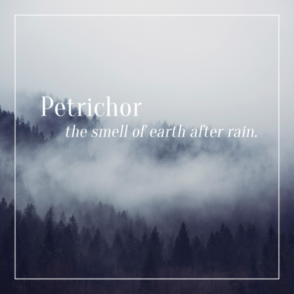 Torba Petrichor the smell of earth after rain
