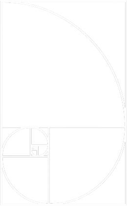 Fibonacci T-shirt damski ciąg Fibonacciego Petrichor