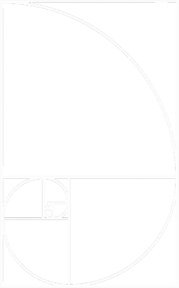 Fibonacci bluza damska ciąg Fibonacciego Petrichor