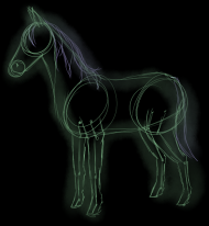 Neo Horse