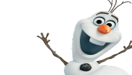 KOSZULKA OLAF