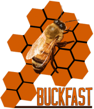 Koszulka Buckfast