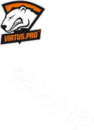 Koszulka Do kibicowania Virtus.Pro