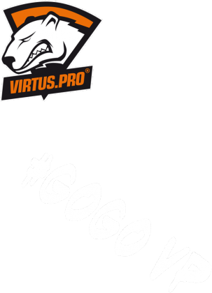 Koszulka Do kibicowania Virtus.Pro
